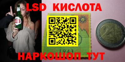 шишки Сланцы