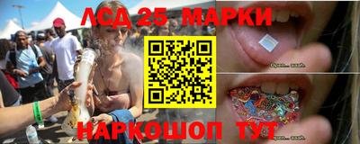 спиды Славгород