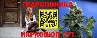 шишки Сланцы