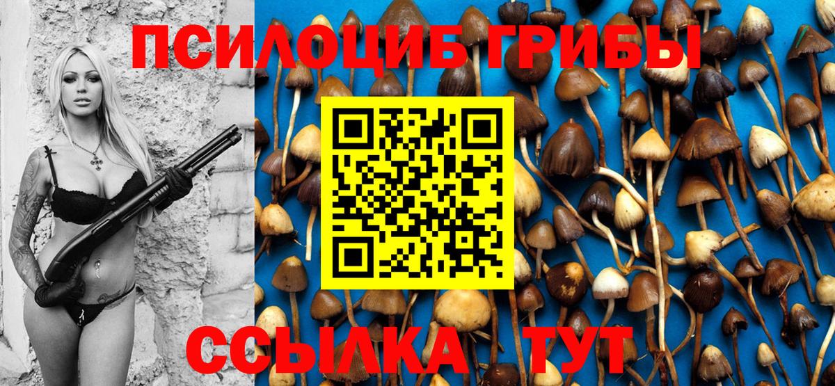 Галлюциногенные грибы мицелий Сатка