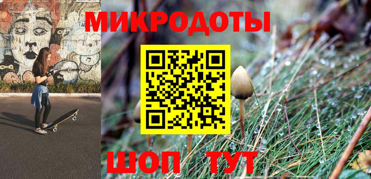 Псилоцибиновые грибы Cubensis  Вход с VPN  Сатка 